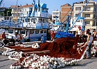 Fischer im Hafen von Sinop : Fischkutter